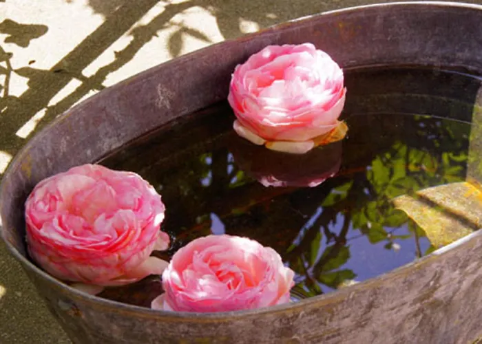 Pfister Maria Hippach