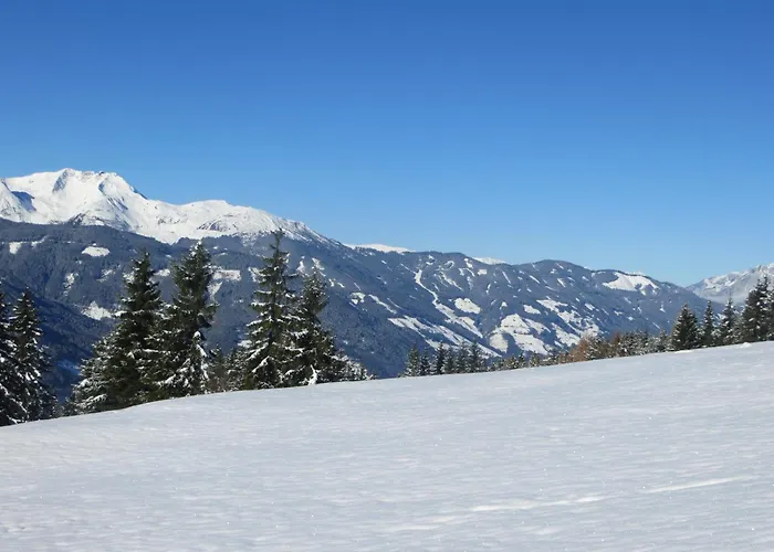 Pfister Maria 3* Hippach