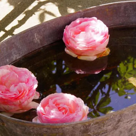 Gaestehaus Pfister Maria Hippach